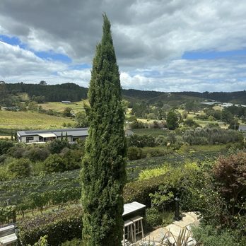 Tantalus Estate - Wineries Near Me - Auckland, AUK Tantalus Estate - Wineries Near Me - Auckland, AUK