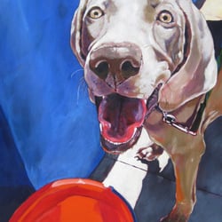 Ravay Snow Fine Art - Gracie in Primary Colors. Pet portrait of a Weimeraner puppy. Copyright Ravay Snow, 2011. All rights reserved.
