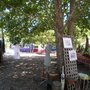 Photo of Bullaburra Craft Market