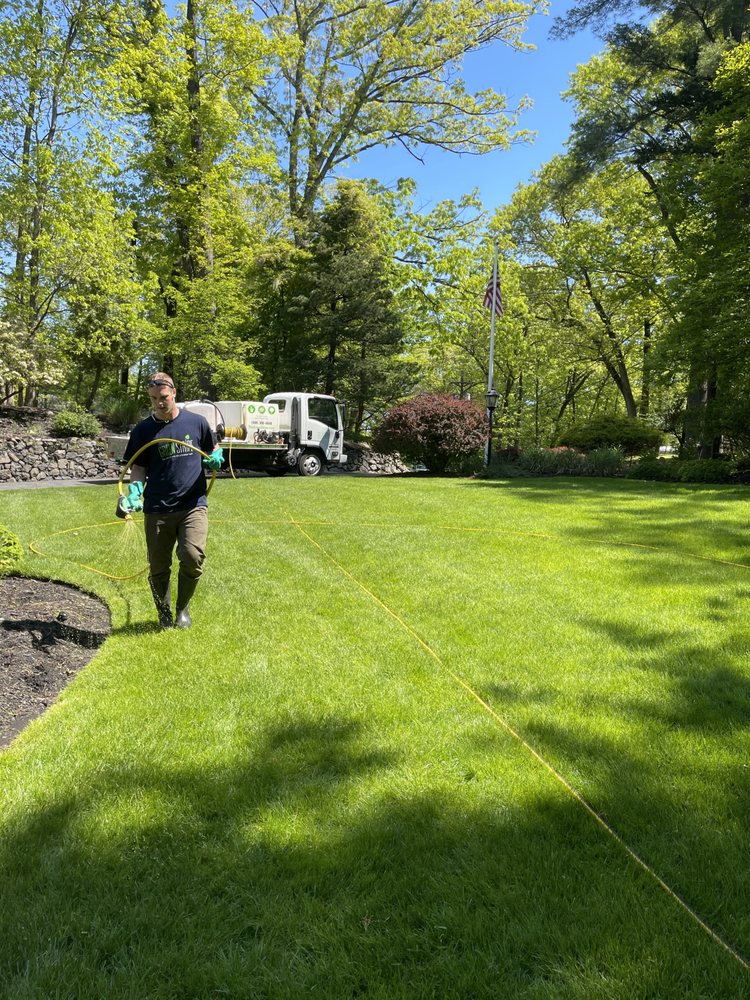 GreenStripe - tree service in Union, NJ