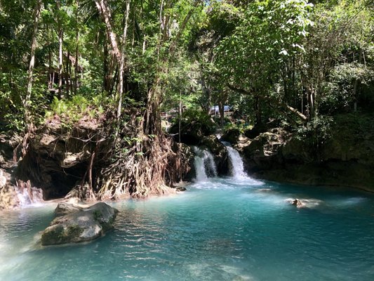 Kawasan Falls by null