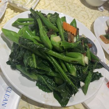 Sifu Wong Kitchen - Flounder fish and kailan - Dim Sum Near Me - Sunnyvale, California Sifu Wong Kitchen - Flounder fish and kailan - Dim Sum Near Me - Sunnyvale, California