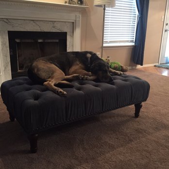 dofferville dog sofa