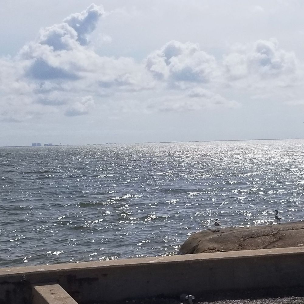Weeks Bay Reserve Foundation - Weeks bay research reserve - Community Service/Non-Profit Near Me - Fairhope, Alabama
