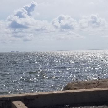 Weeks Bay Reserve Foundation - Weeks bay research reserve - Community Service/Non-Profit Near Me - Fairhope, Alabama Weeks Bay Reserve Foundation - Weeks bay research reserve - Community Service/Non-Profit Near Me - Fairhope, Alabama