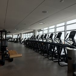 GenesisFIT