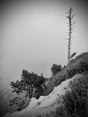Devils Punchbowl State Natural Area by null
