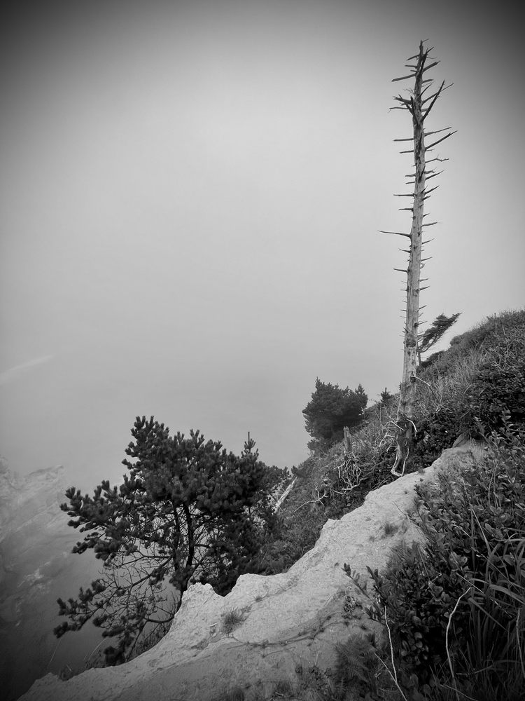 Devils Punchbowl State Natural Area Logo