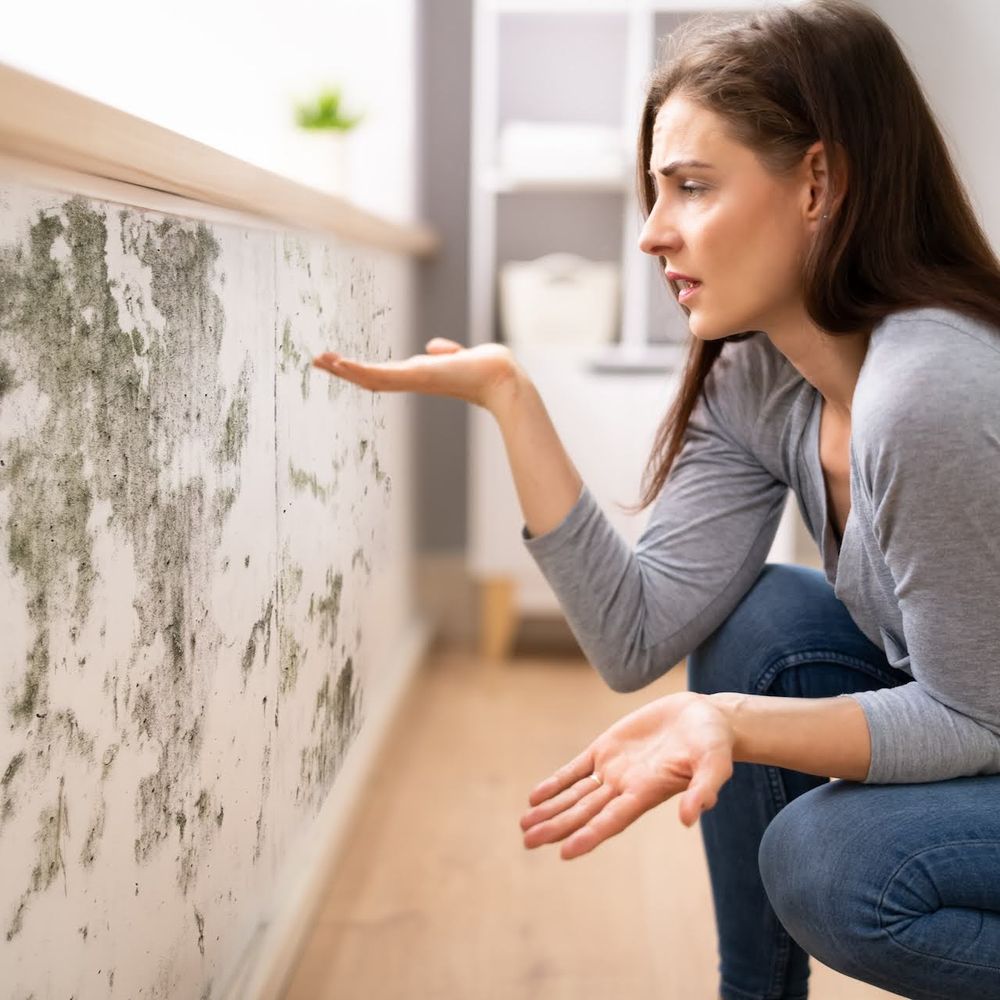 Envirogyn - mold inspector in Texas City, TX