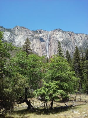 Horsetail Fall by null