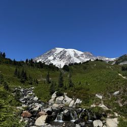 Myrtle Falls