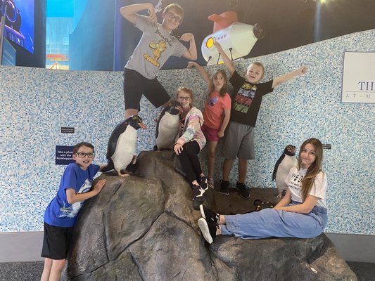 Aquarium At Moody Gardens by null