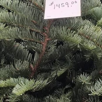 Rudolph's Christmas Trees - Rudolph's Christmas Tree prices - Christmas Trees Near Me - Las Vegas, Nevada Rudolph's Christmas Trees - Rudolph's Christmas Tree prices - Christmas Trees Near Me - Las Vegas, Nevada