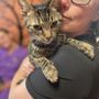 Photo of Home Sweet Home Veterinary Clinic