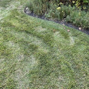 Summer Green Landscape Inc - a patch of grass that has been mowed - Lawn Services Near Me