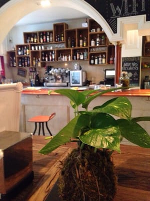 Kafe Botanika by null