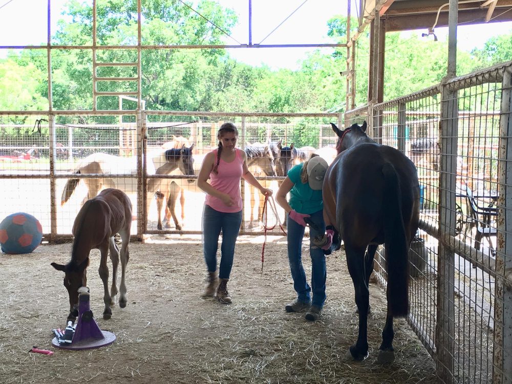 EQUQUEST 21 Photos 7300 W State Hwy 29, Texas