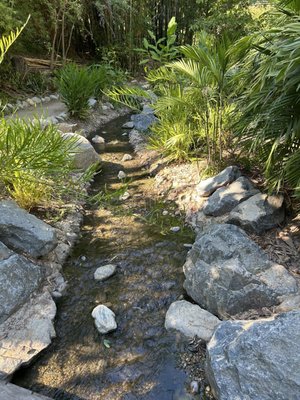 UCLA Mathias Botanical Garden by null