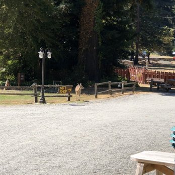 Redcrest Resort - Sometimes there are visitors - RV Parks Near Me - Redcrest, California Redcrest Resort - Sometimes there are visitors - RV Parks Near Me - Redcrest, California