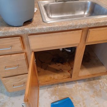 Libman Home Cleaning - What Golden Maid considers clean! - Home Cleaning Near Me - Greenfield, Wisconsin Libman Home Cleaning - What Golden Maid considers clean! - Home Cleaning Near Me - Greenfield, Wisconsin