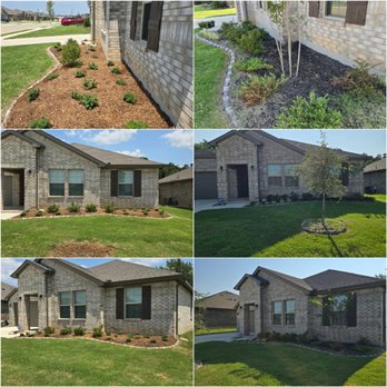 Rockin GI Land Services - Wrong shade plants in full sun. Removed plants and planted Texas native plants, and added drip irrigation, weed fabric and mulch. - Landscaping Near Me Rockin GI Land Services - Wrong shade plants in full sun. Removed plants and planted Texas native plants, and added drip irrigation, weed fabric and mulch. - Landscaping Near Me