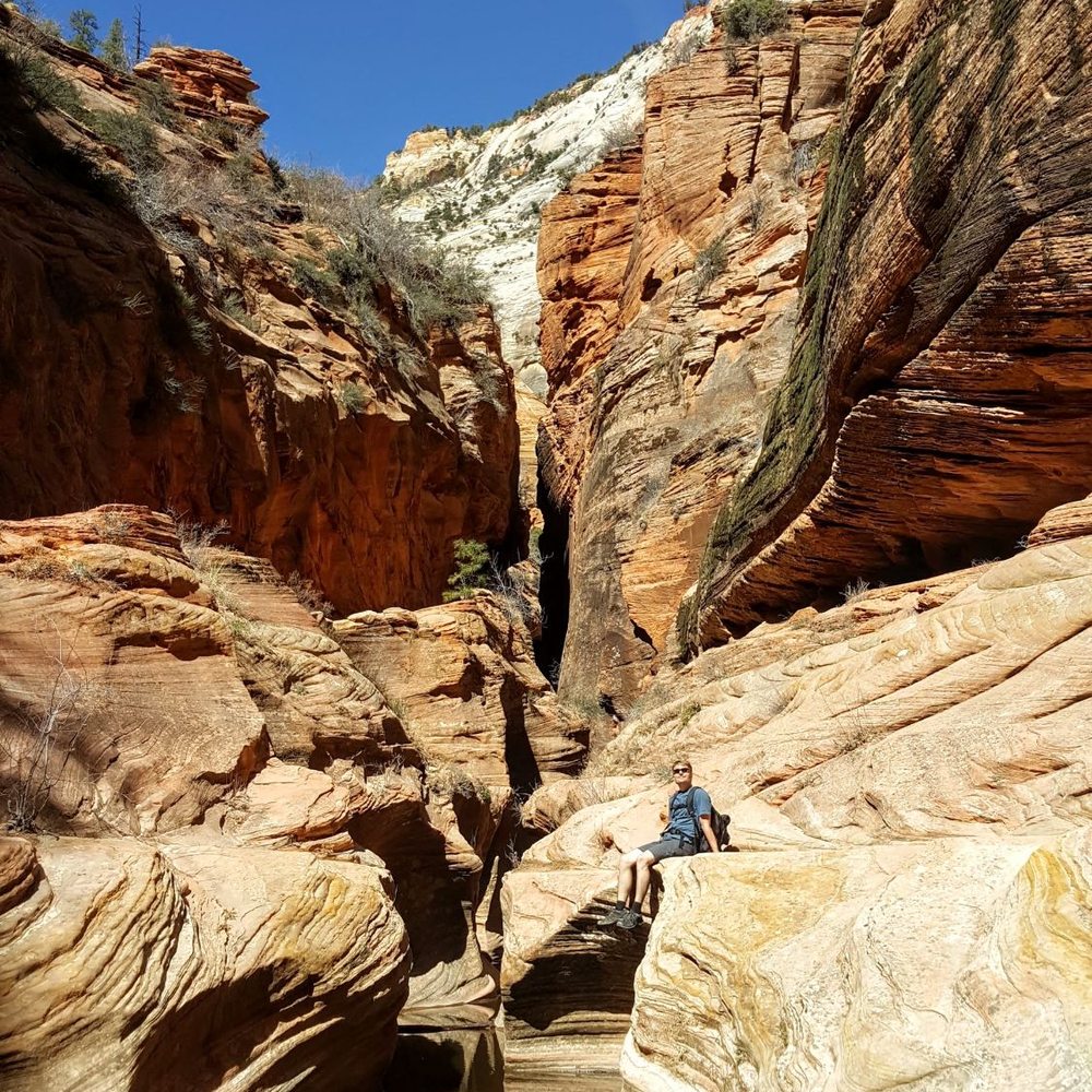 Observation Point - Hiking Near Me - Springdale, Utah Observation Point - Hiking Near Me - Springdale, Utah