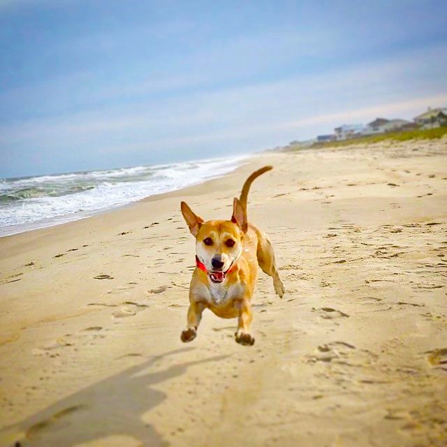 FICKLING VACATION RENTALS Updated September 2024 48 Photos 112