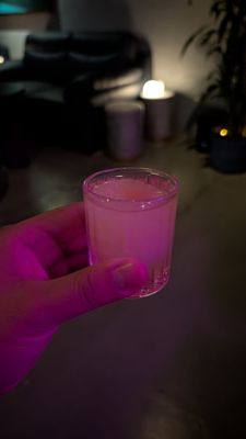 White Whale Cocktail Bar Fremont Street by null