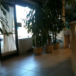 Foji Acupuncture and Herbs