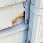 Photo of Bad Dog Enterprise