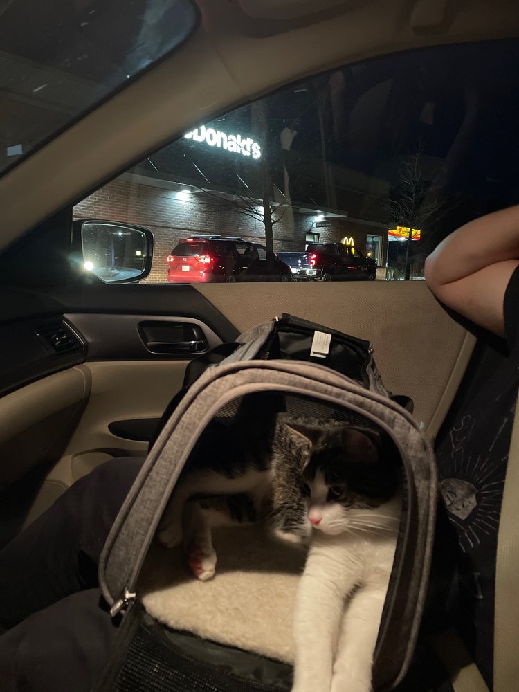 MCDONALD’S Updated August 2024 9200 Winterberry Ave, Low Moor