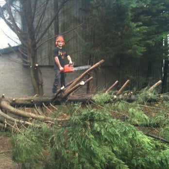 Cantellow Tree Surgery - Tree Services Near Me - Swansea, SWA Cantellow Tree Surgery - Tree Services Near Me - Swansea, SWA