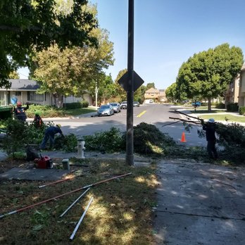 New Sky Tree Service - Tree Services Near Me - San Jose, California New Sky Tree Service - Tree Services Near Me - San Jose, California