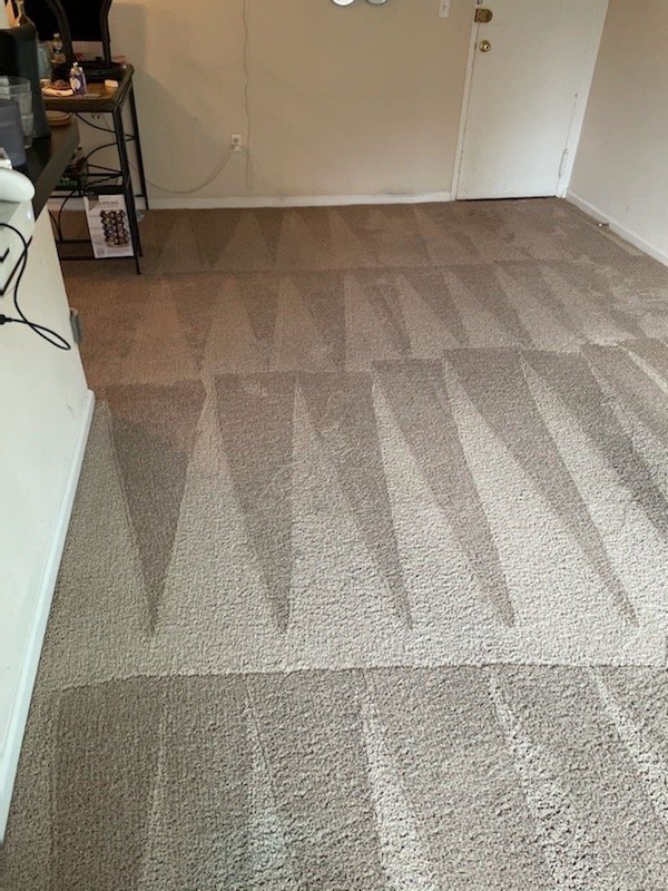 OXI FRESH CARPET CLEANING 18 Photos Beltsville, Maryland Carpet