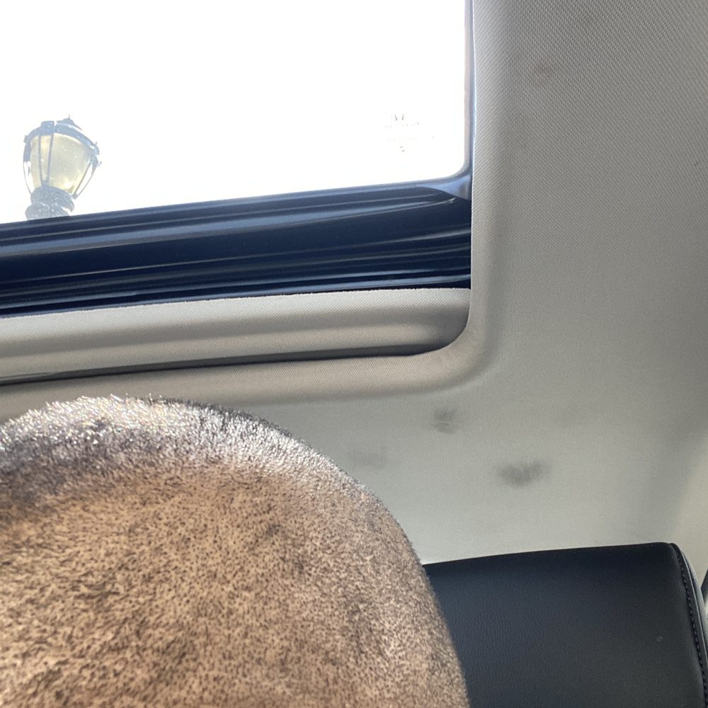 Big Red Barber Shop - Made me look like patches wtf now I have to wear a hat smh - Barbers Near Me - North Attleboro, Massachusetts Big Red Barber Shop - Made me look like patches wtf now I have to wear a hat smh - Barbers Near Me - North Attleboro, Massachusetts