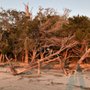 Photo of St. Andrews Picnic And Beach Area