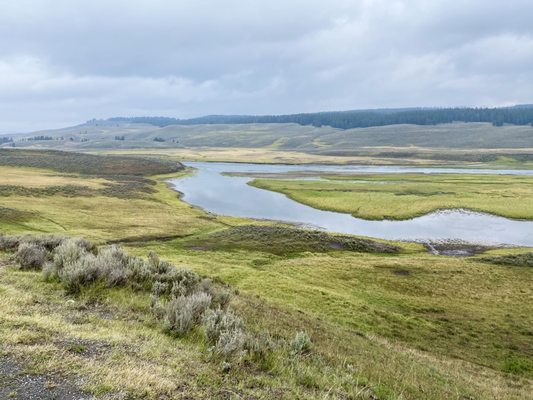 Hayden Valley by null