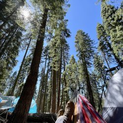 Sequoia National Forest and Giant Sequoia National Monument - Always make time for Hammock time!