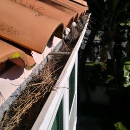 rain gutter with lots of pine needles before cleaning rain gutter with lots of pine needles before cleaning