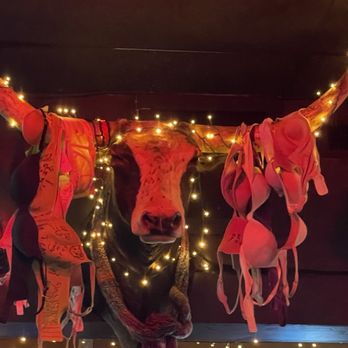 One Eyed Penguin - Dive Bars Near Me - Dallas, Texas One Eyed Penguin - Dive Bars Near Me - Dallas, Texas