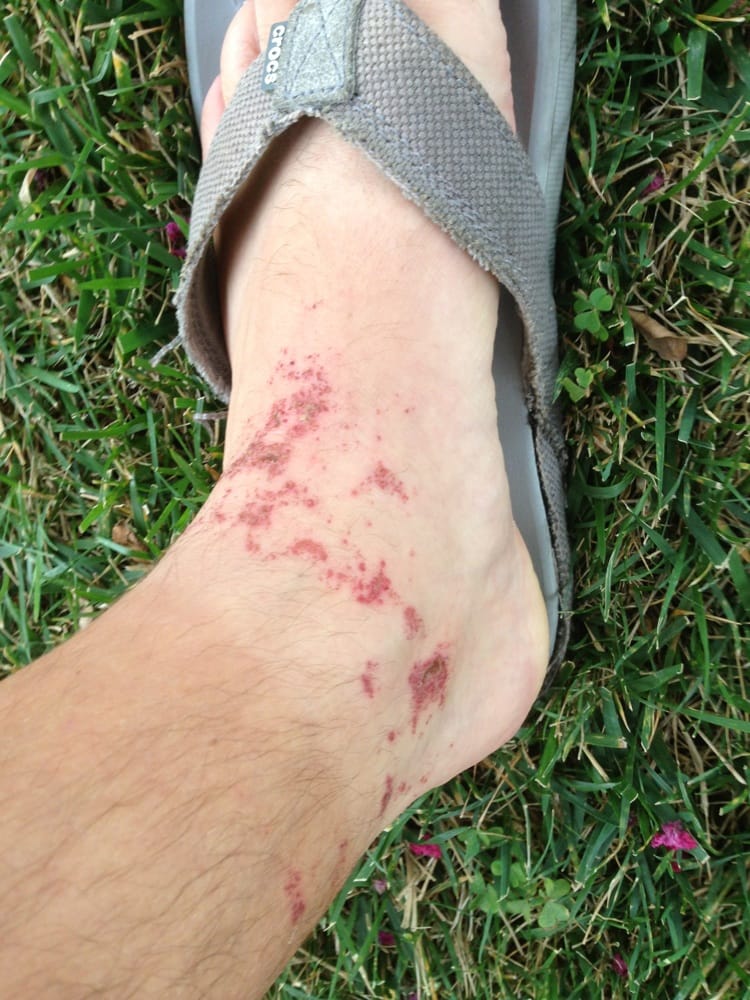 TEN ONE NAIL SPA Updated September 2024 40 Reviews 18643 Ventura