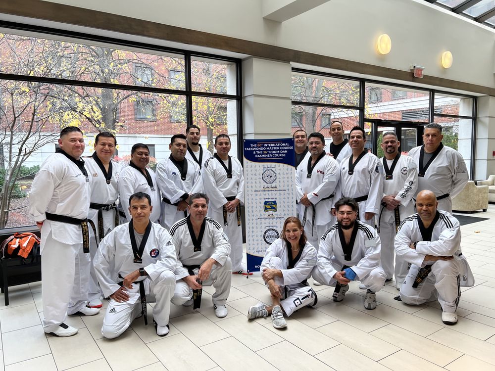 US Olympic Tae Kwon Do Institute Logo