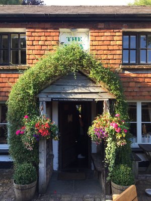 The Yew Tree by null