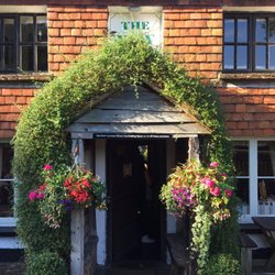 The Yew Tree