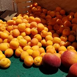 Walnut Park Farmer's Market