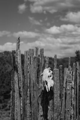 The Stakeout by null