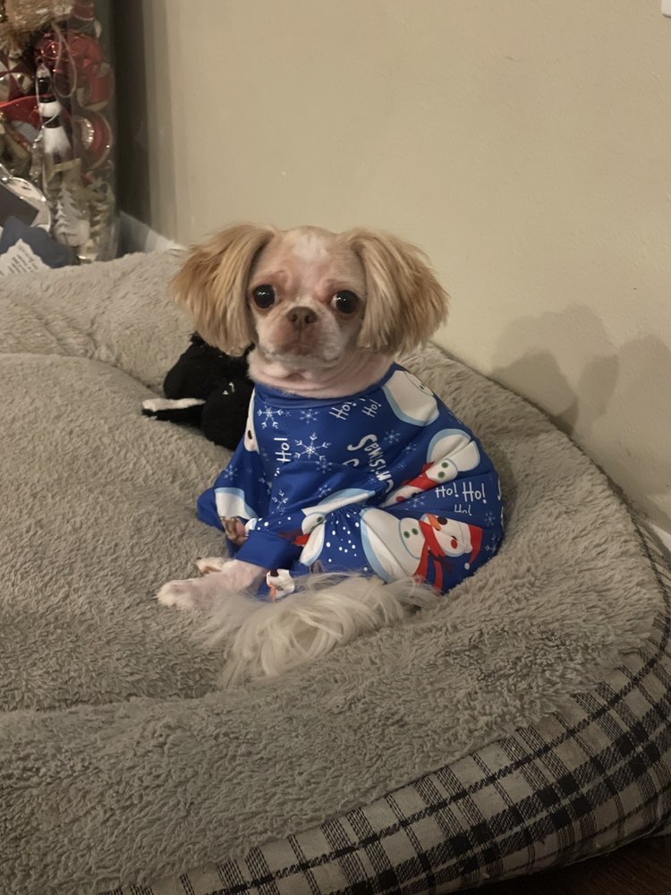 LAKELAND PET SALON Updated October 2024 21 Photos & 11 Reviews