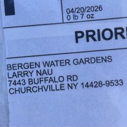 Bergen Water Gardens & Nursery