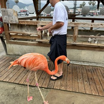 トリアスふれあい動物園 - Updated June 2026 - 30 Photos - 久山町