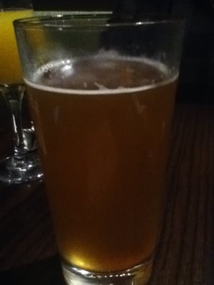 The Chicago Diner, Logan Square by null